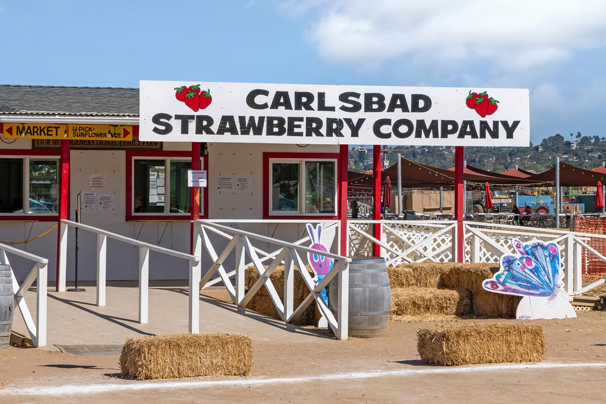 Minutes to family fun at Carlsbad Strawberry Company