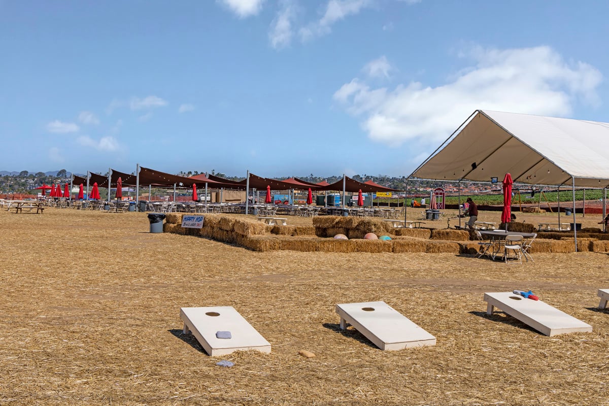Minutes to family fun at Carlsbad Strawberry Company