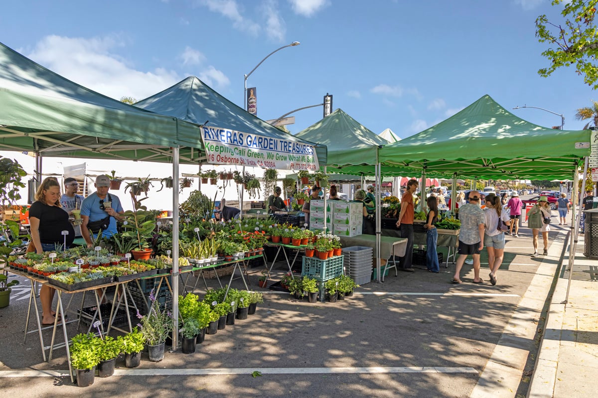 Close to weekly Carlsbad Farmer's Market