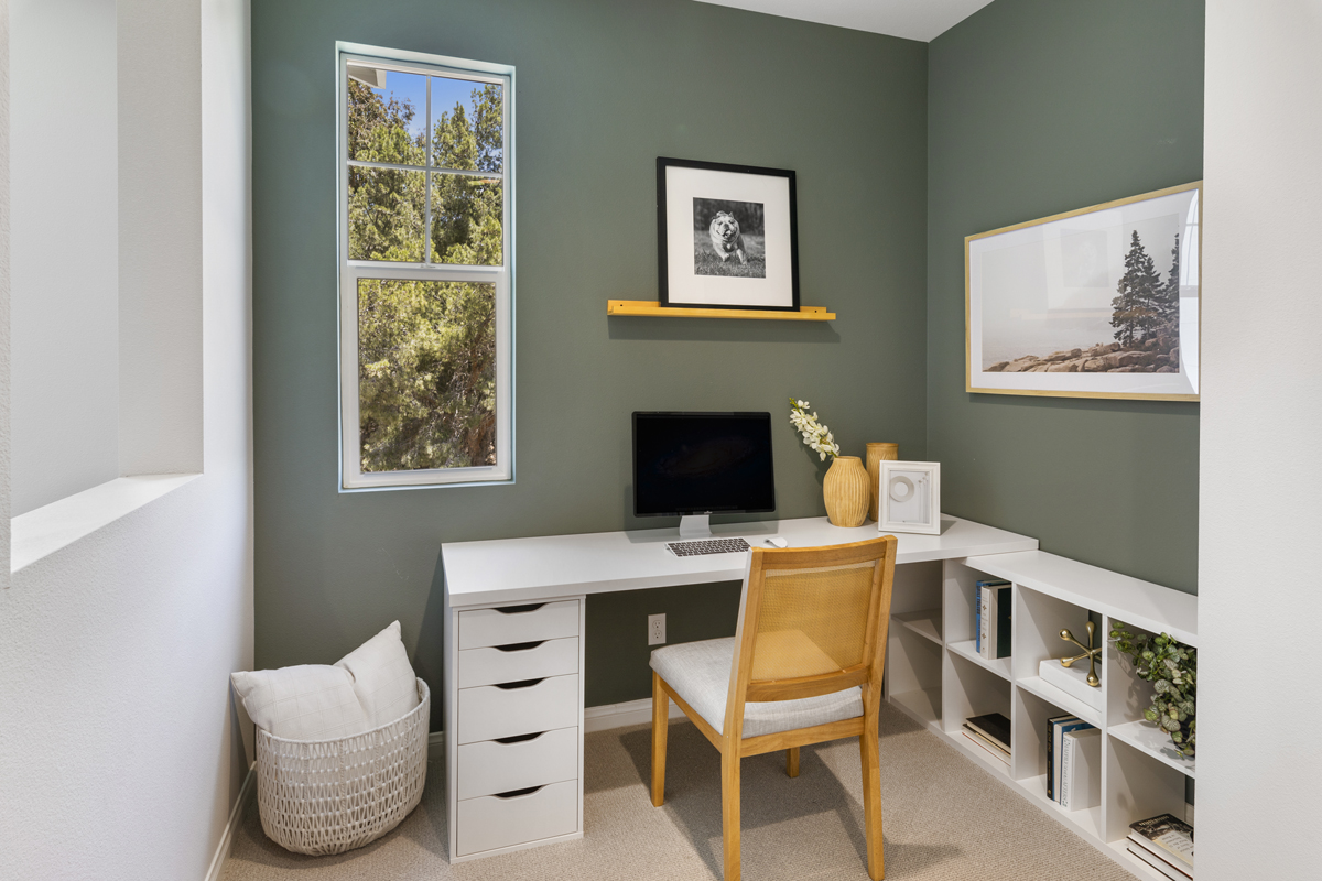 Study area