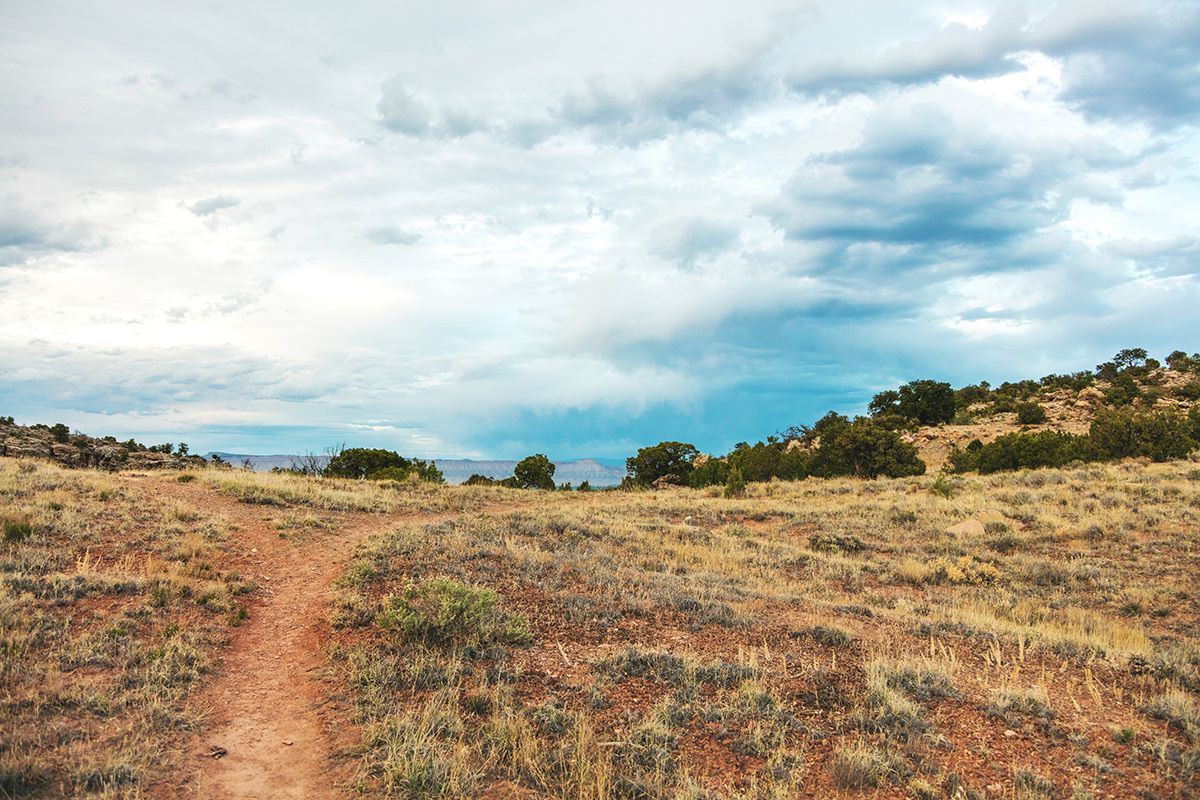 Nearby Trails
