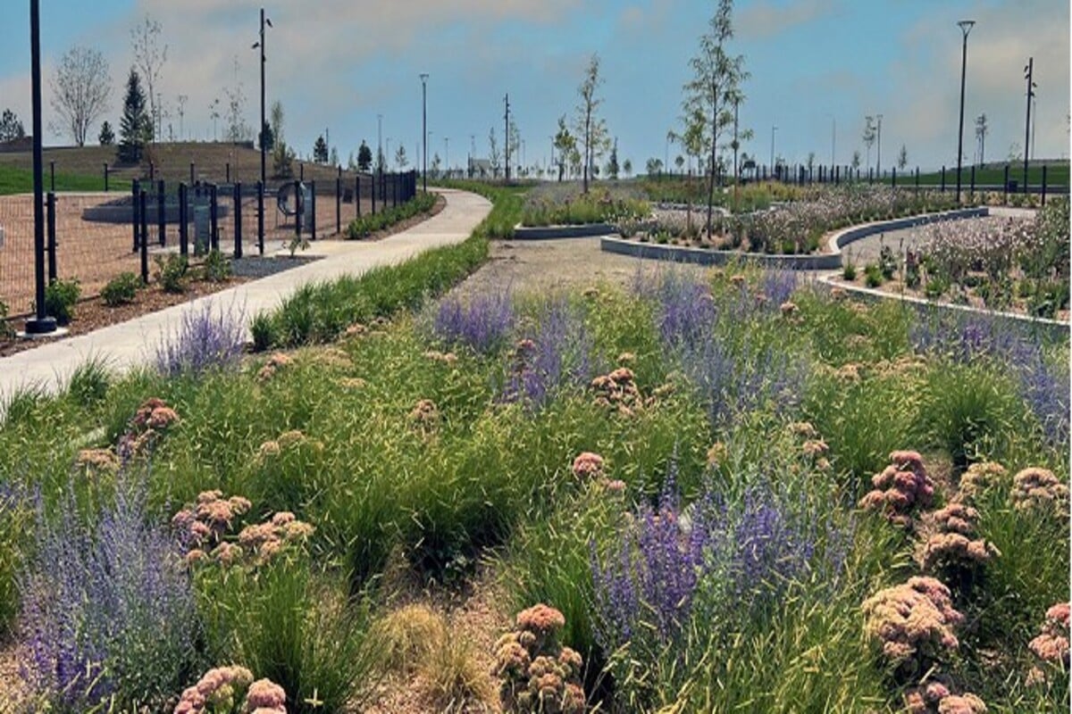 Near Discovery Park