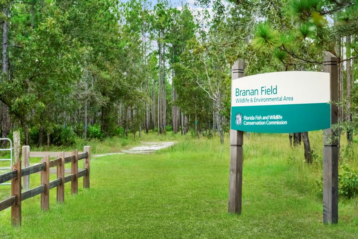 Eight minutes to Branan Field Wildlife and Environmental Area