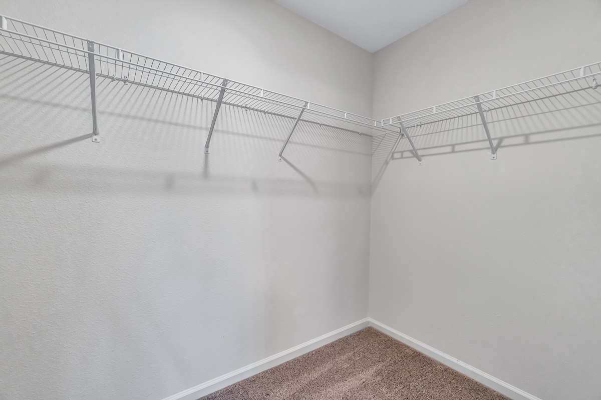Primary walk-in closet