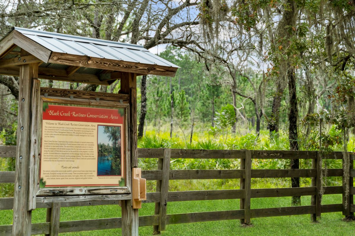 Just a short drive to Black Creek Ravines Conservation Area