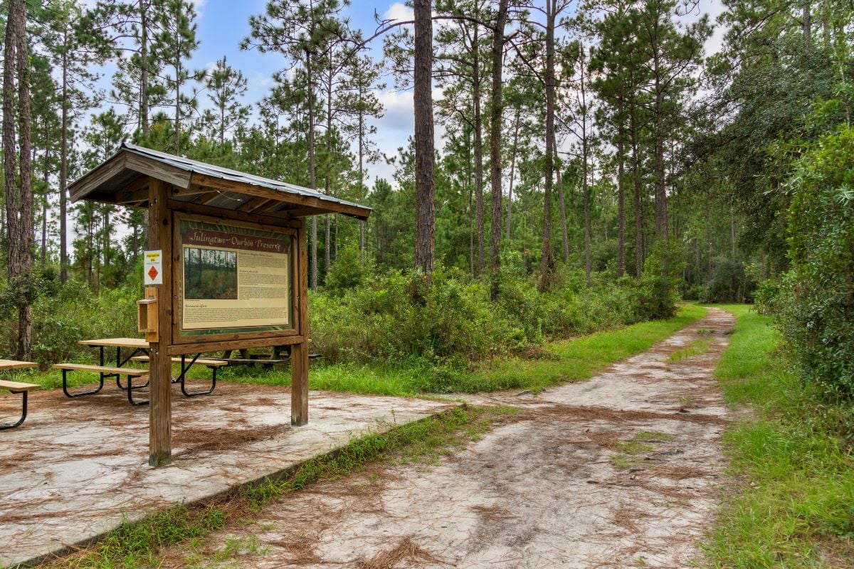 Minutes to Julington Durbin Preserve