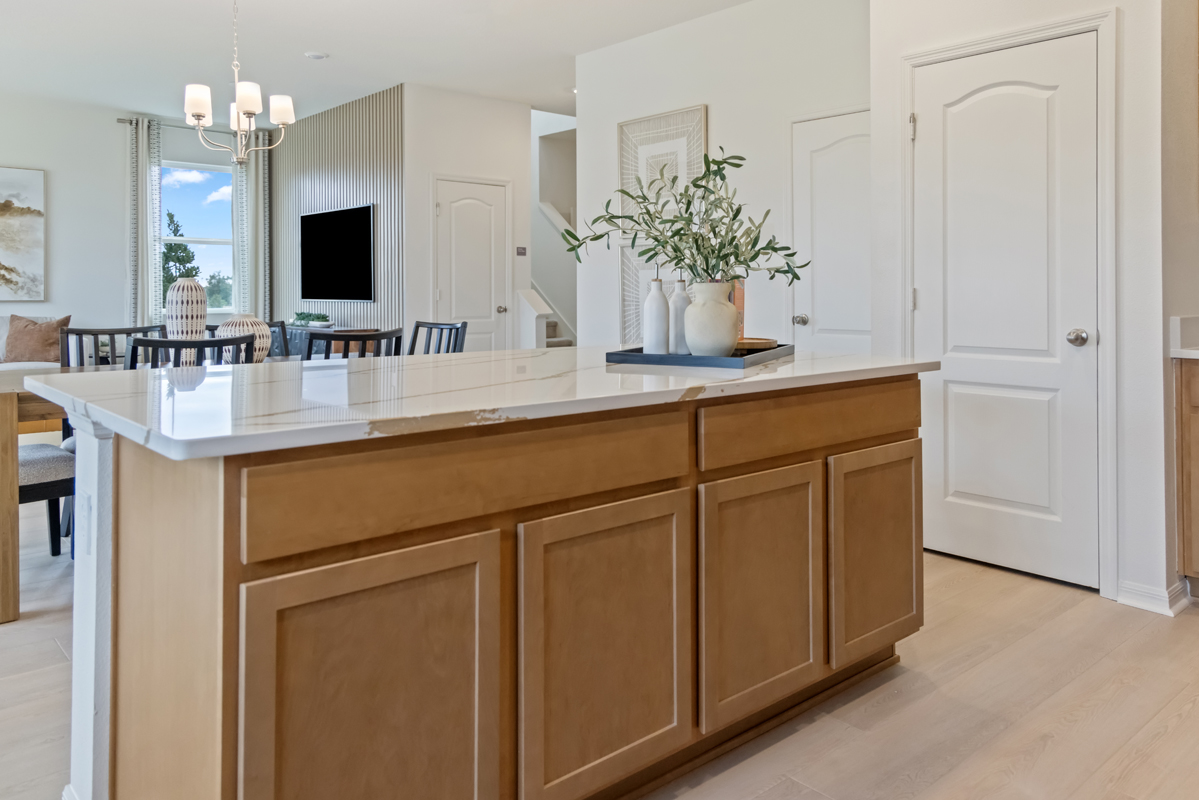 Shaker-style kitchen cabinets