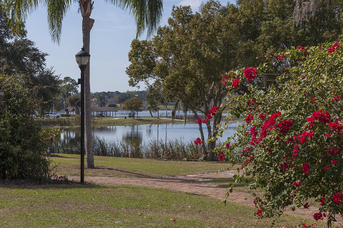 Nearby Lake David Park in Groveland