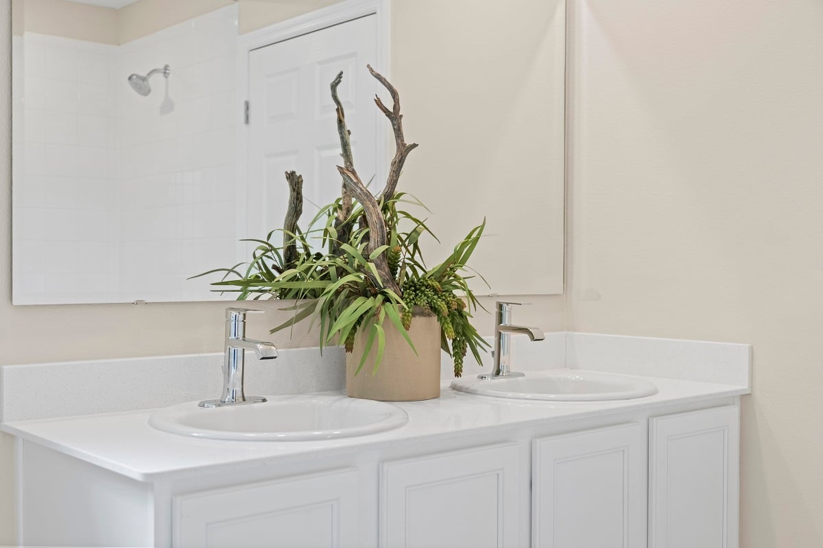 Dual sink vanity