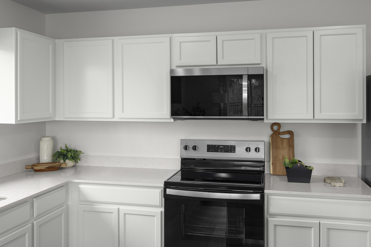 Recessed-panel birch cabinets