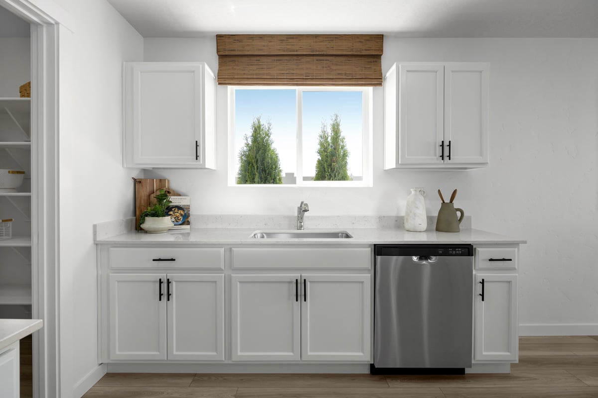 Recessed-panel birch cabinets