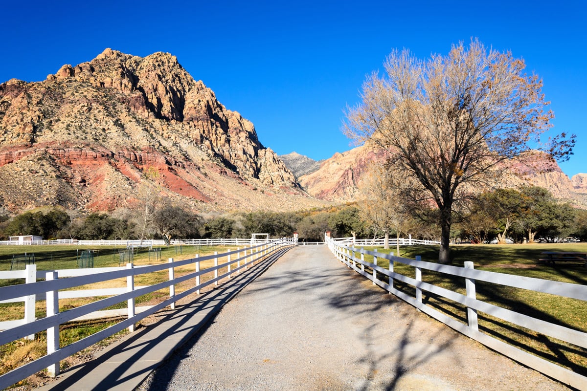 Near hiking trails at Red Rock