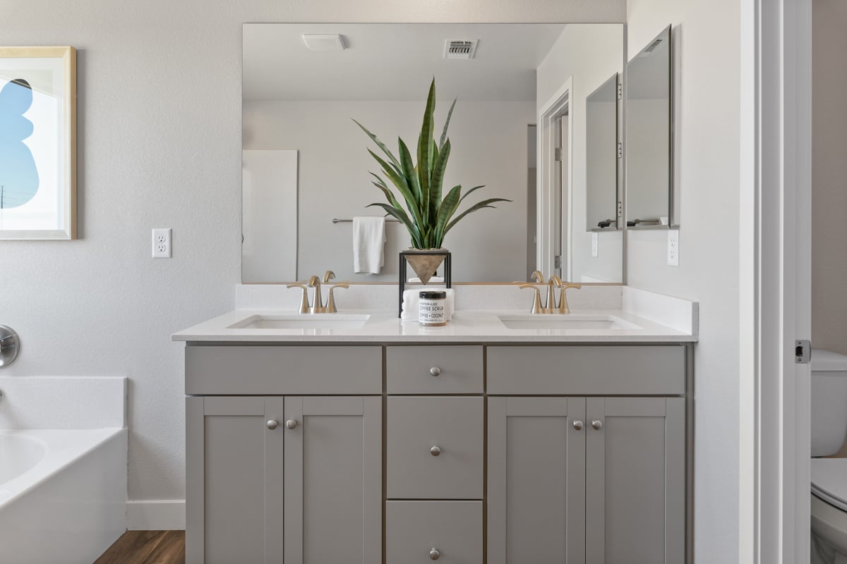 Dual-sink vanity at primary bath