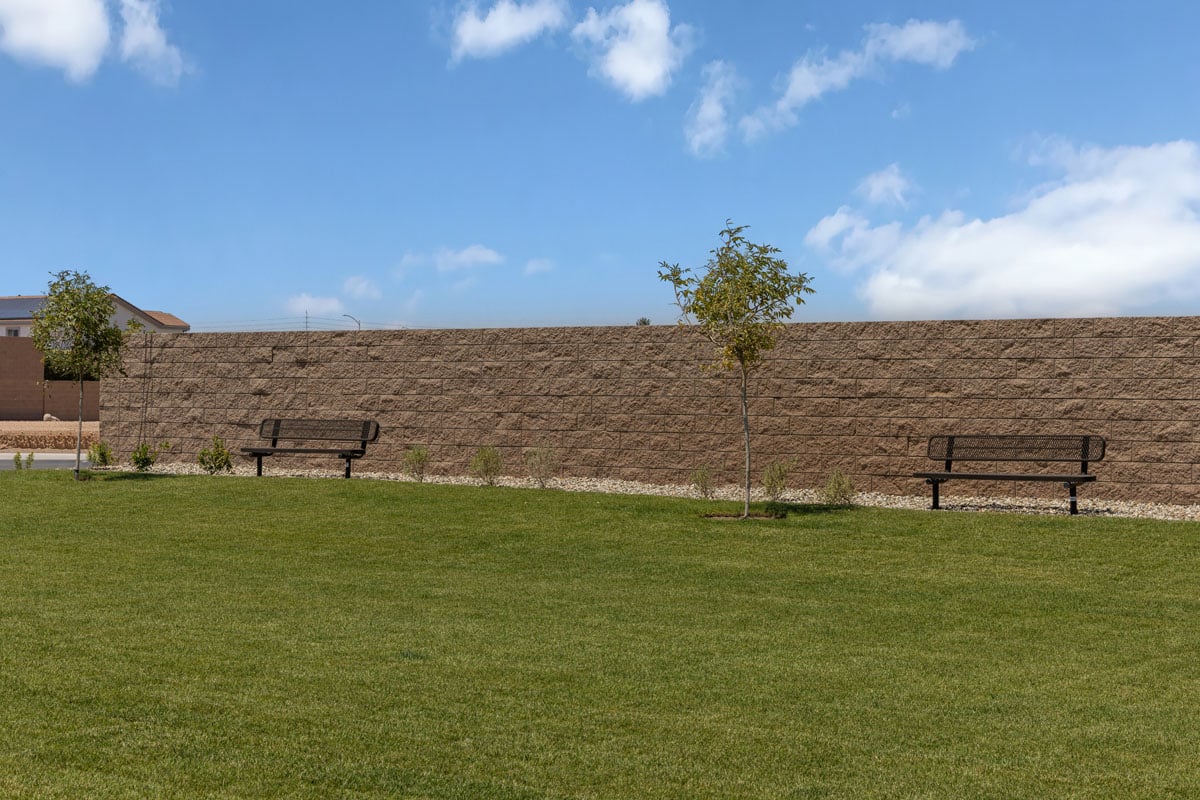 Community park