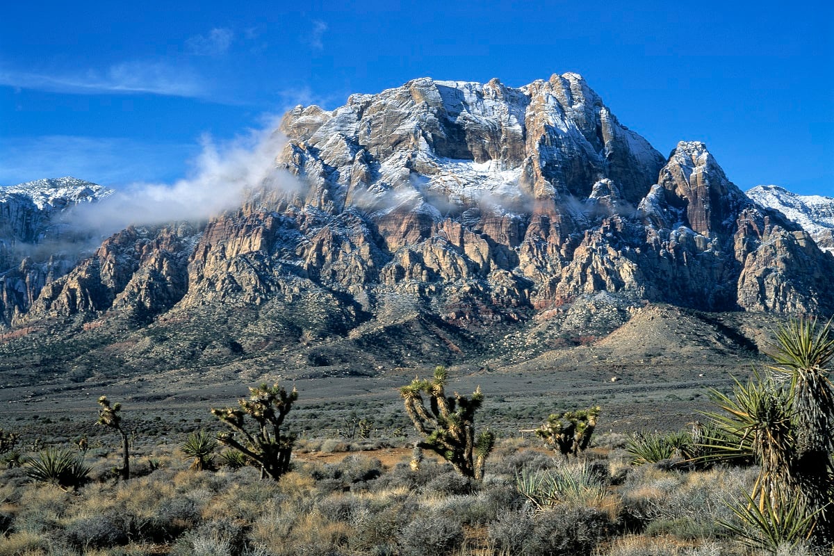 Red Rock Canyon nearby