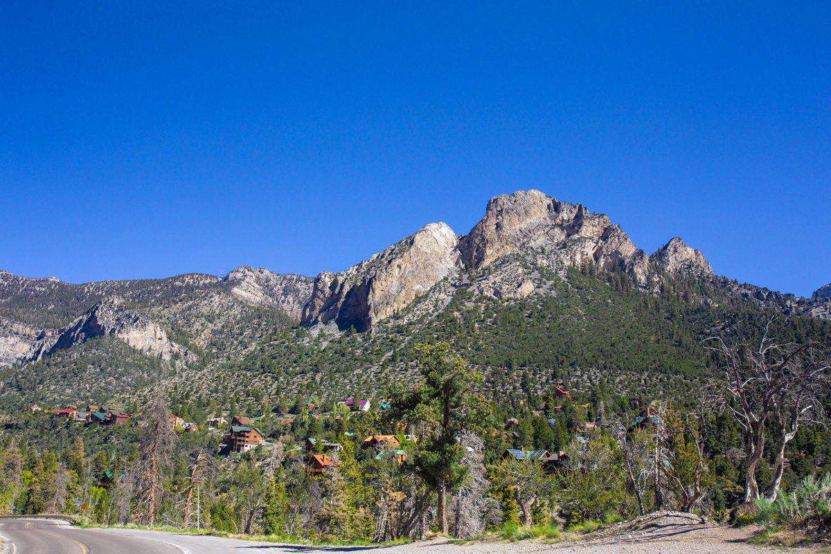 Short drive to Mt. Charleston