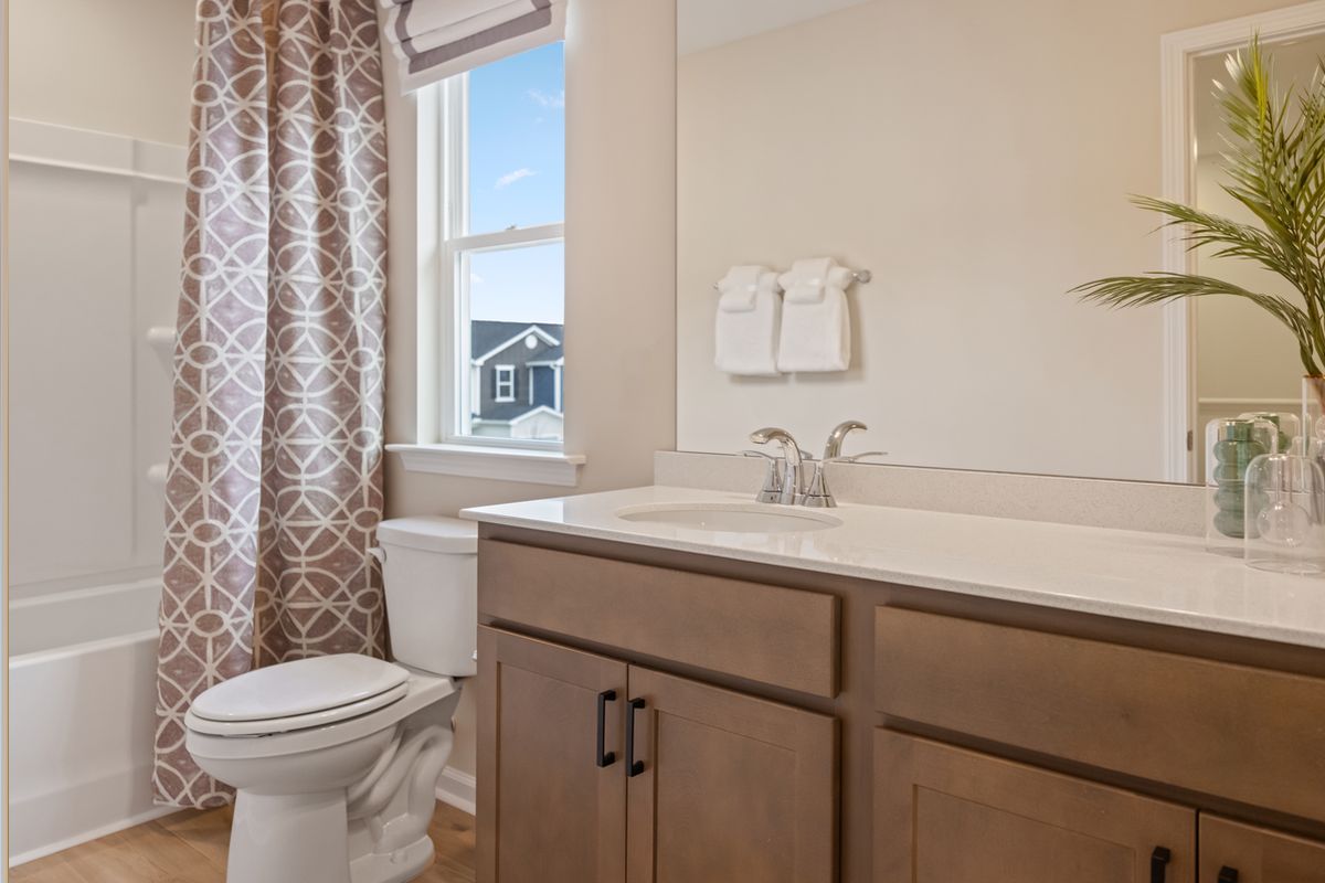 Stained birch cabinets