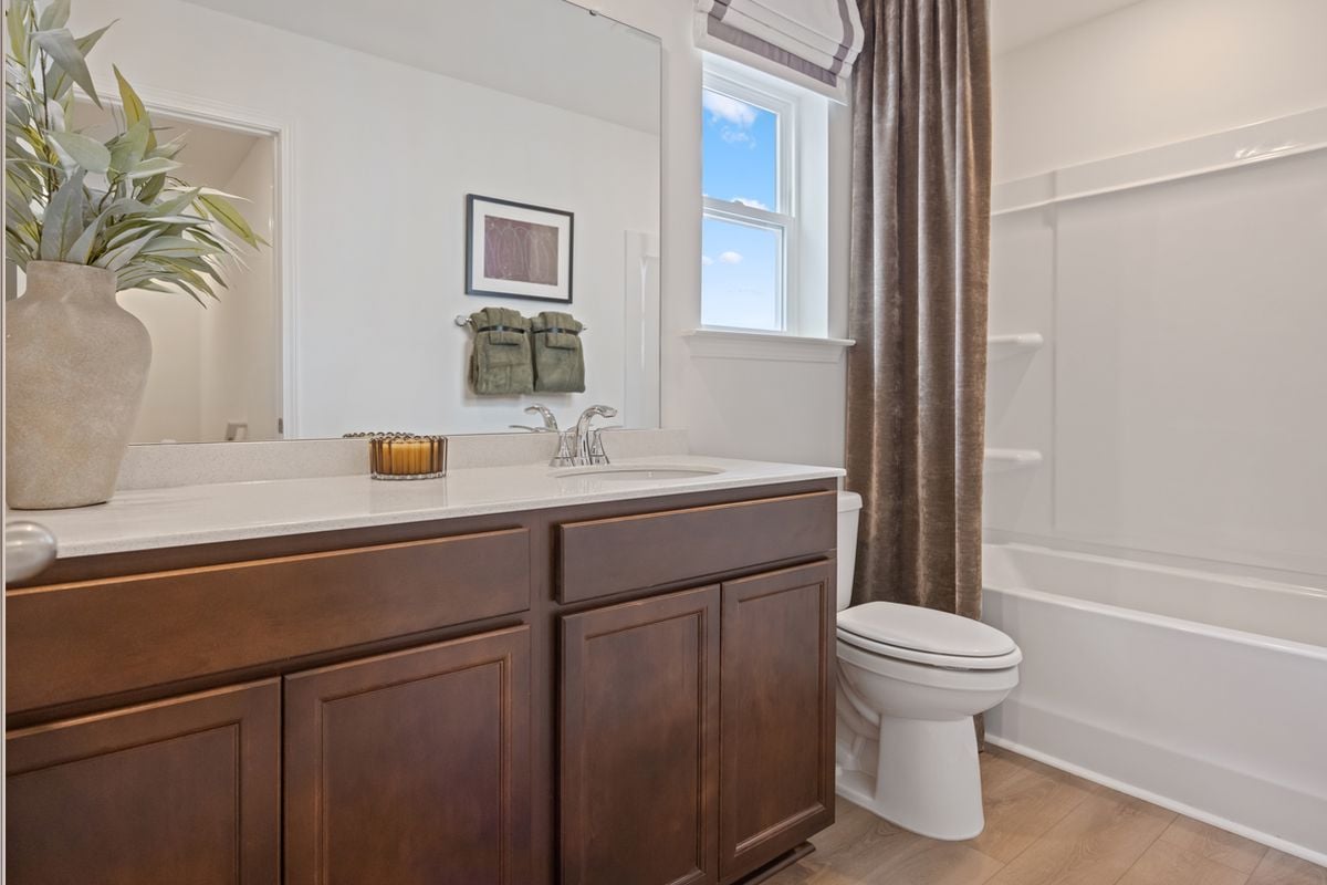 Stained birch cabinets