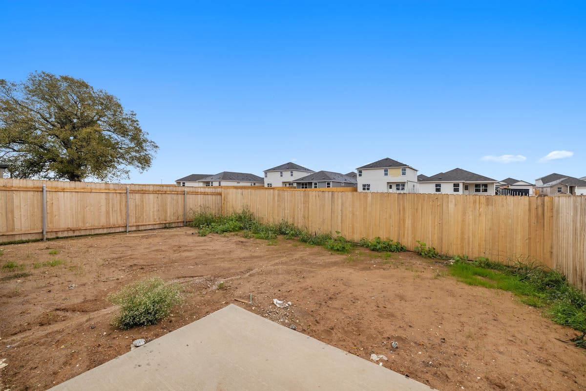 Back Yard