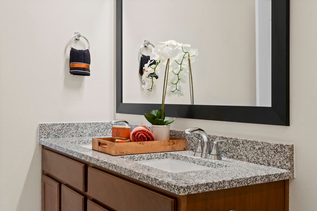 Dual-sink vanity at primary bath 