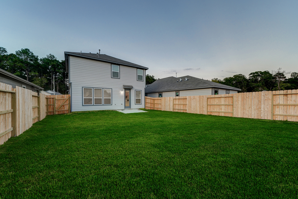 Back yard