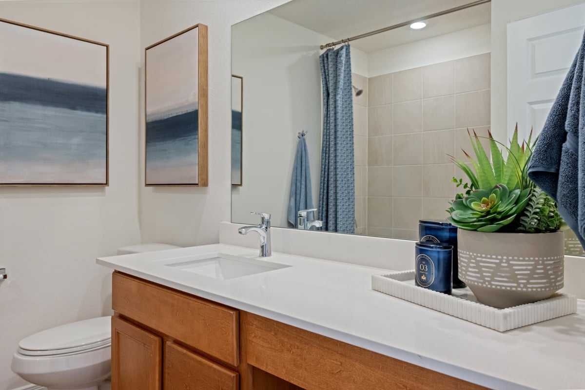Secondary bath