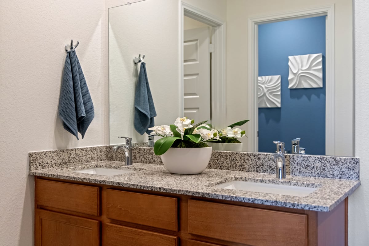 Dual-sink vanity at primary bath