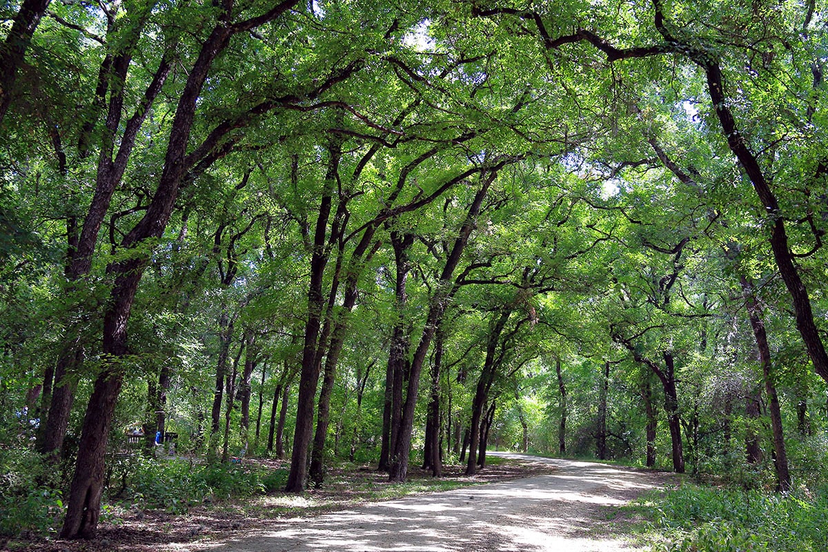 Only 11 minutes to Culebra Creek Park Trailhead