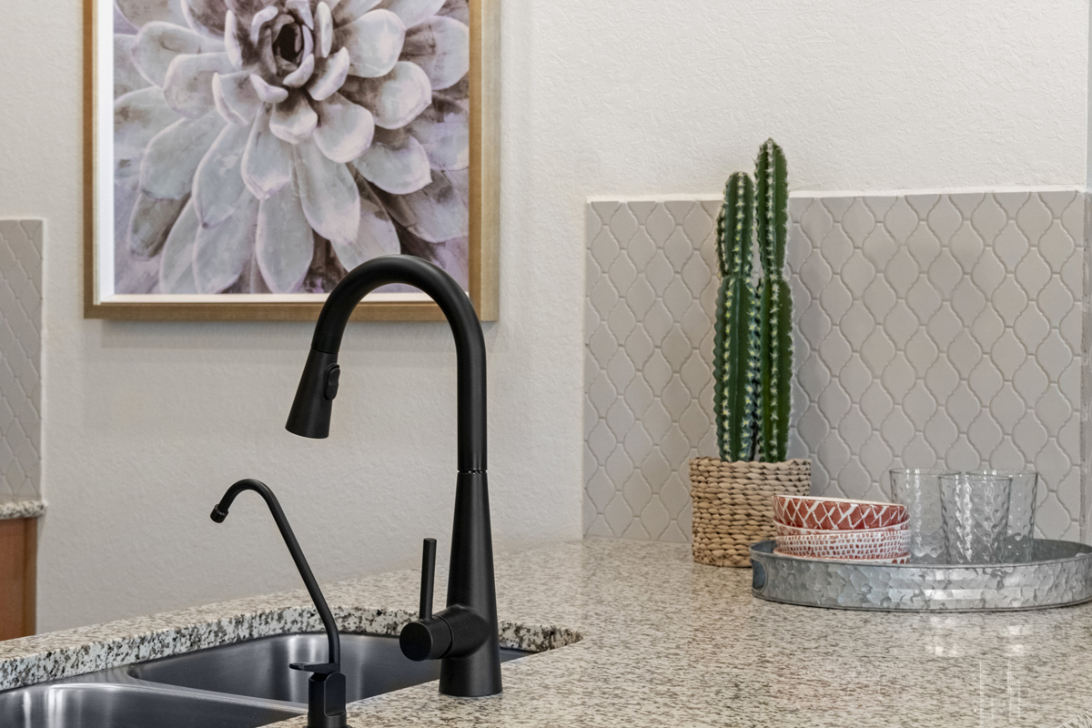 Matte black faucet