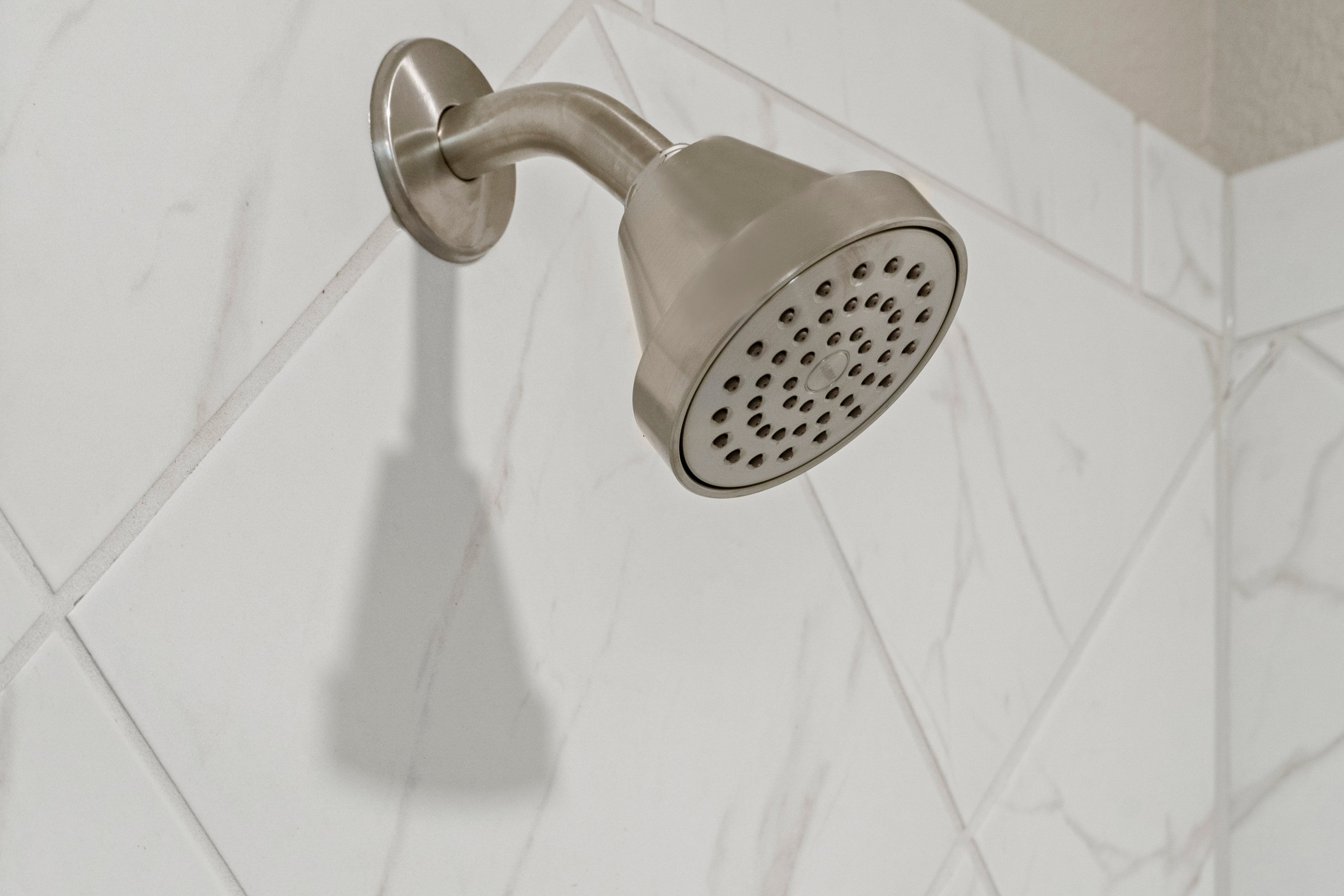 Moen® WaterSense showerhead