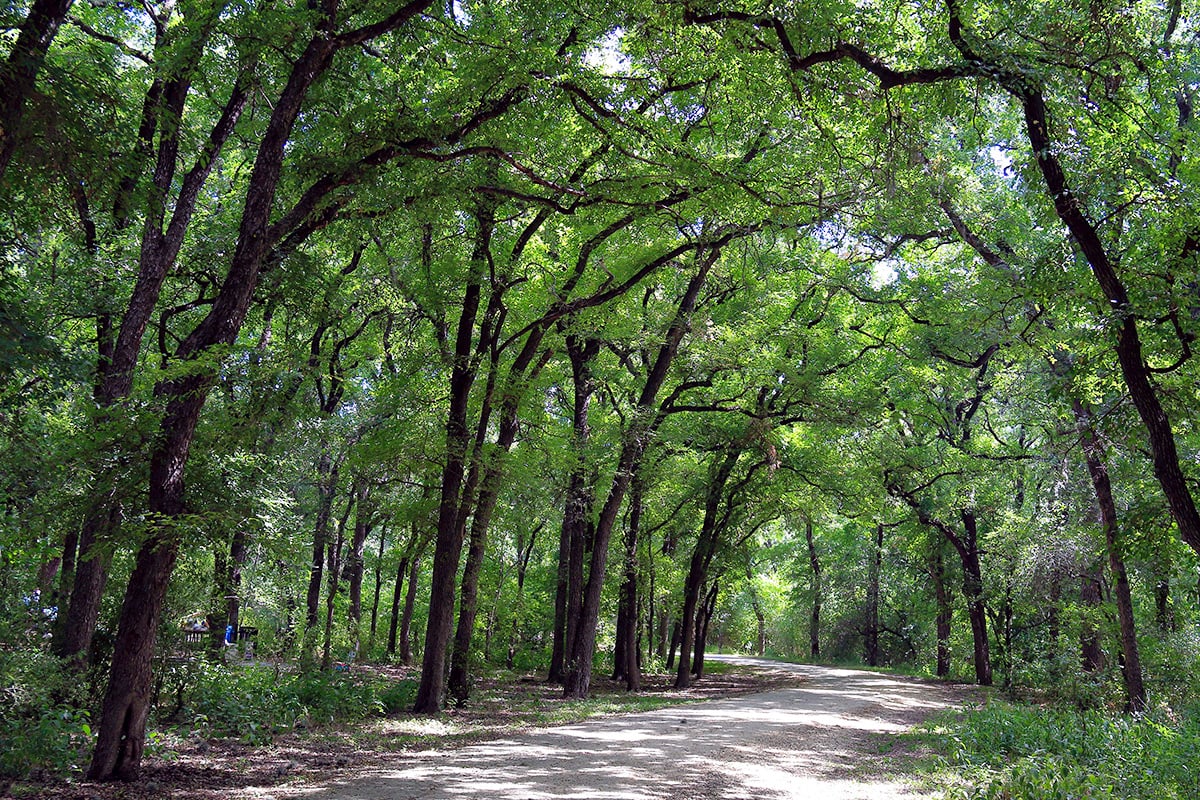 Only 11 minutes to Pearsall Park Trailhead