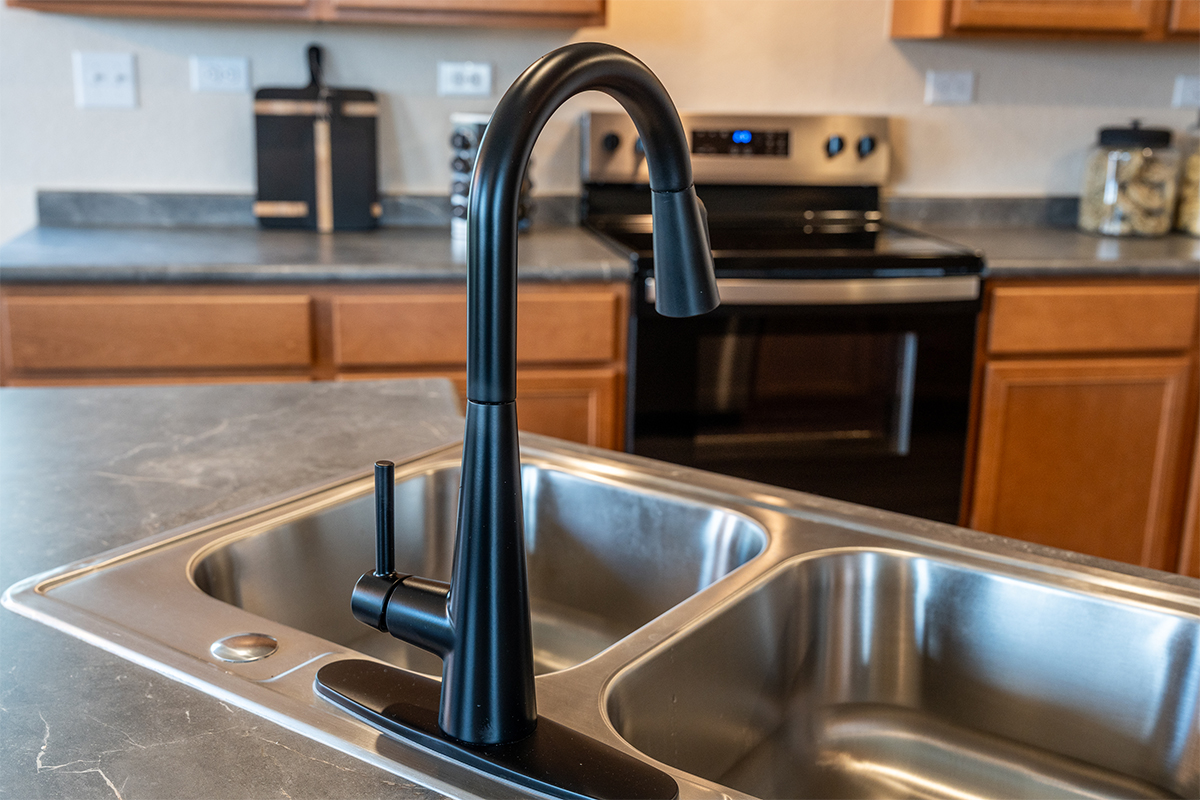 Matte black kitchen faucet