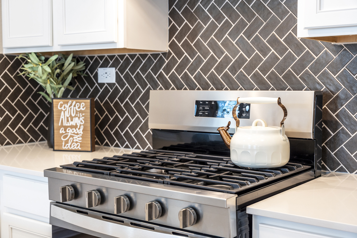 Stainless steel gas range