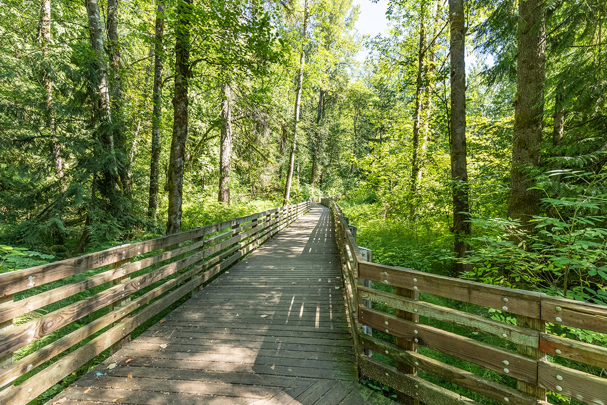 Convenient to Fennel Creek trail