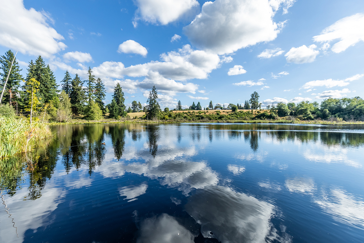 Close to Clark Lake Park