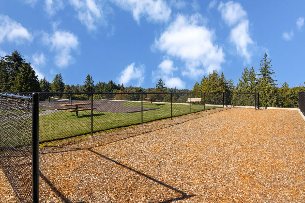 Dog run
