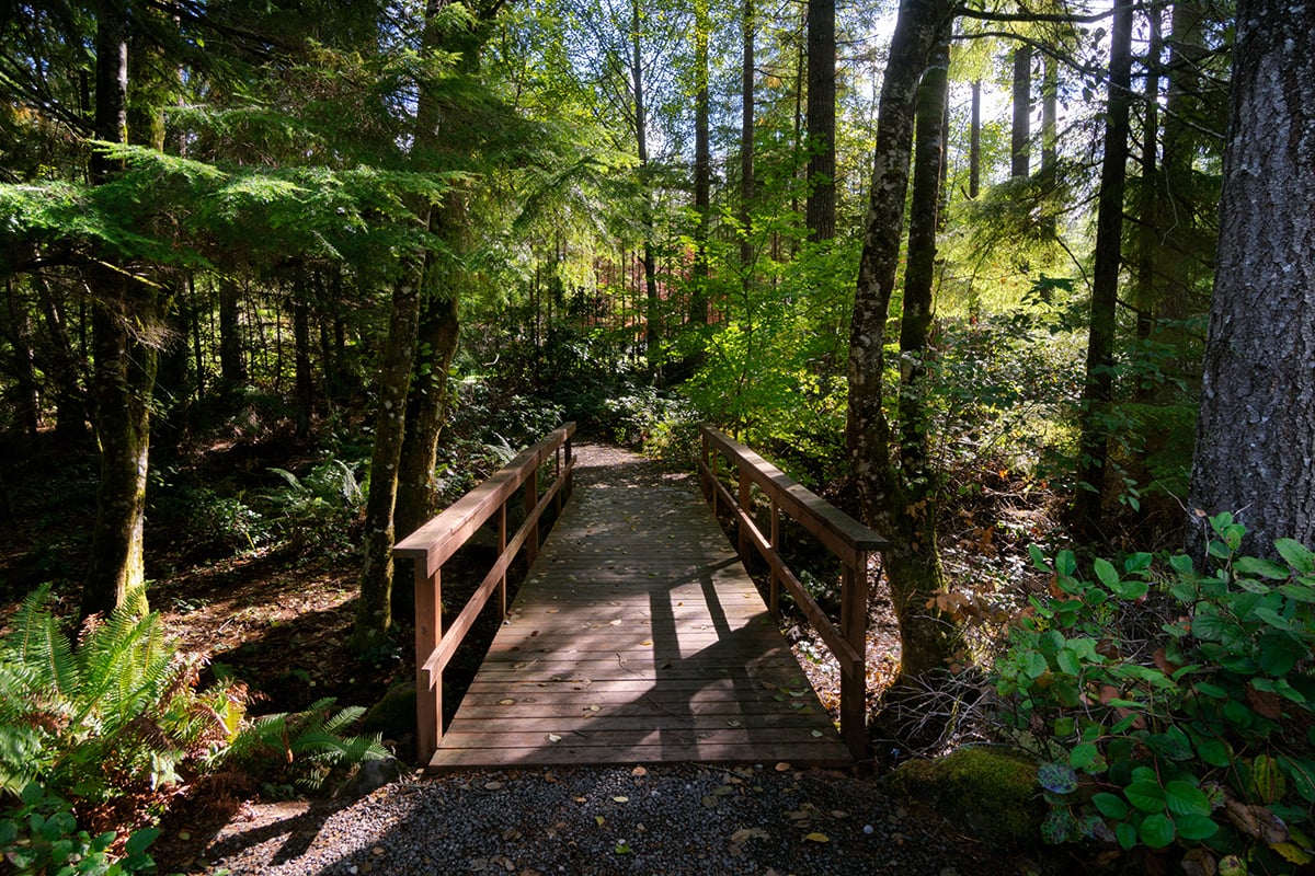 Community trails