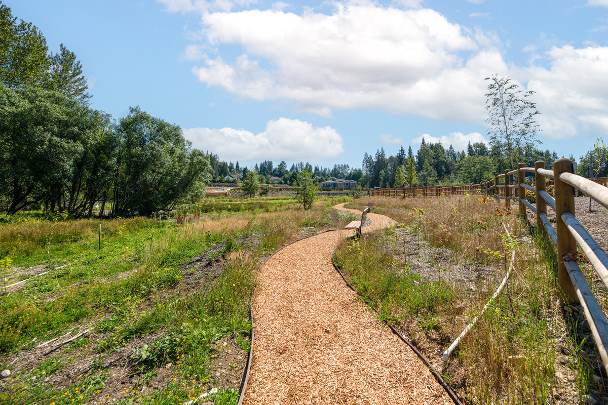 Walking trails