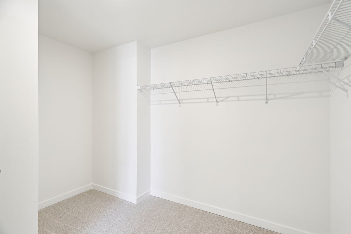 Primary walk-in closet