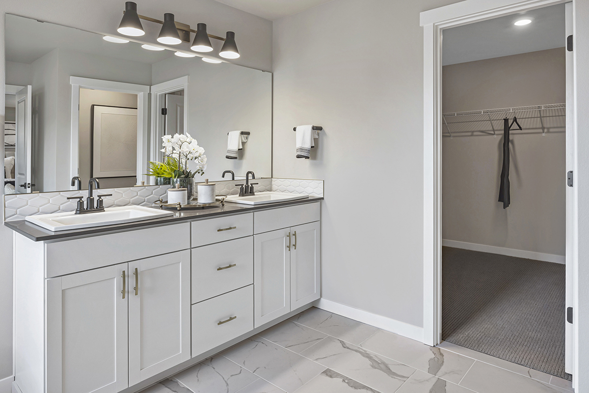 Primary bathroom vanity