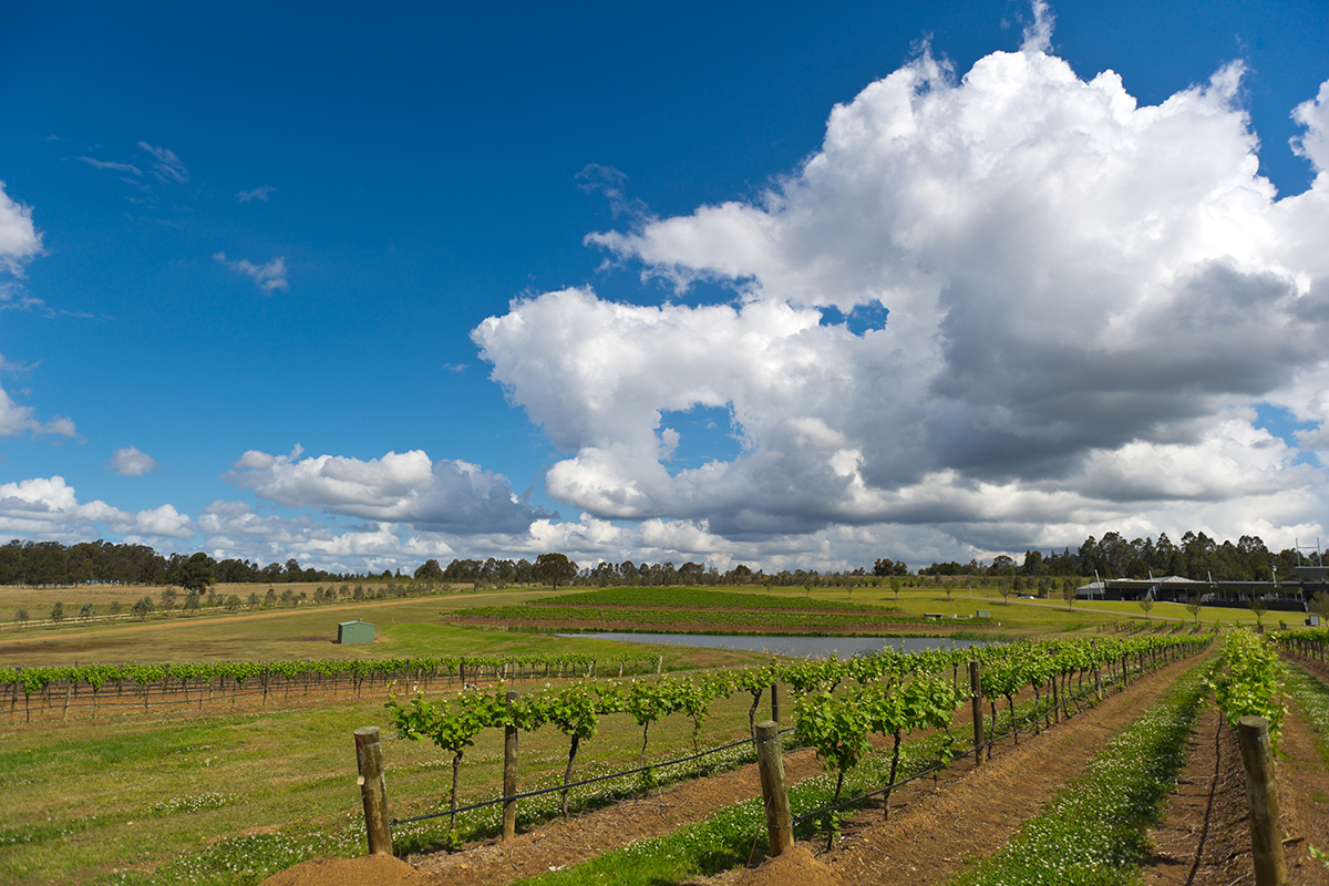 Close to local wineries