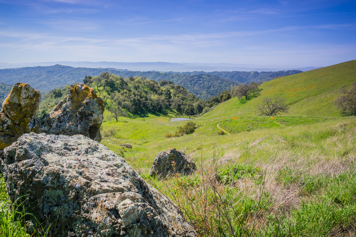 A trail in Henry W Coe State Park 