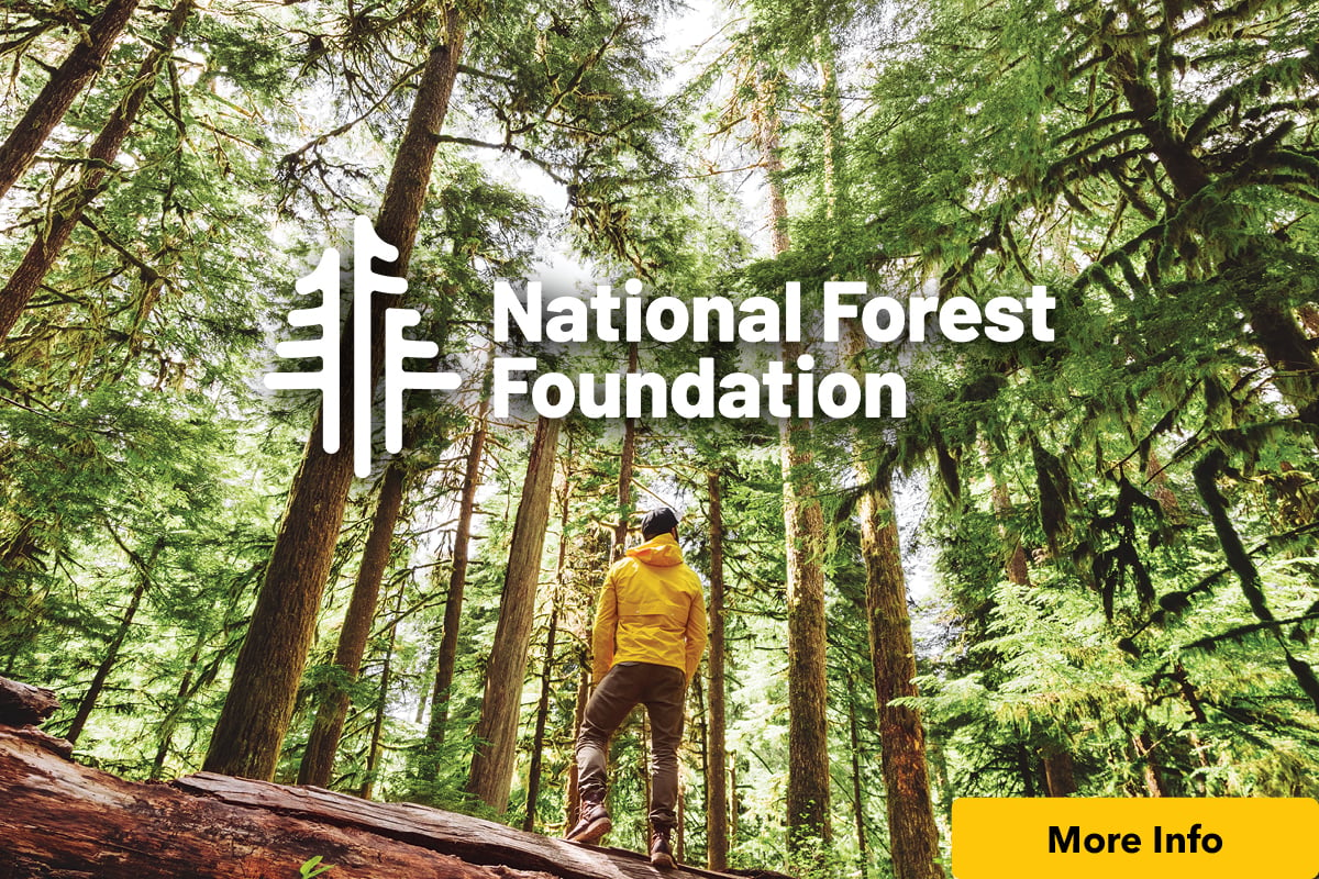 National Forest Foundation Image